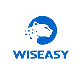 wiseay-logo